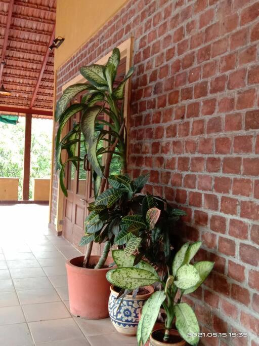 Sohana Eco Retreat Farmhouse - Karjat Chinchavli Exterior photo