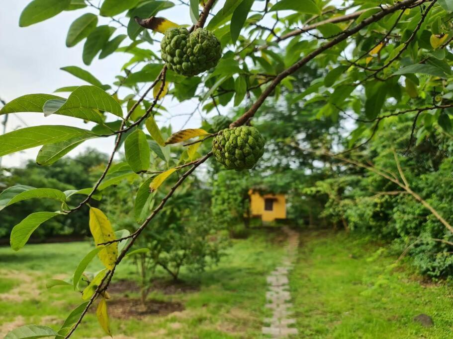 Sohana Eco Retreat Farmhouse - Karjat Chinchavli Exterior photo